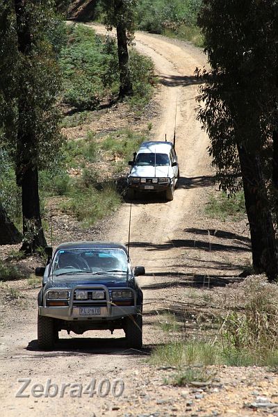 12 Zebra follows Iceman as they limp along Army Track.JPG